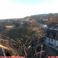 16_25-nest.jpg