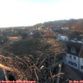 16_30-nest.jpg