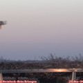 16_40-mast.jpg