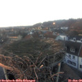 16_40-nest.jpg