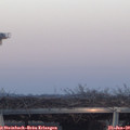 16_45-mast.jpg