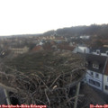 16_50-nest.jpg