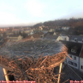 08_15-nest.jpg