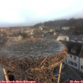 08_20-nest.jpg