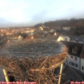 08_30-nest.jpg