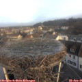 08_35-nest.jpg