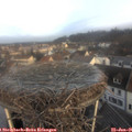 08_40-nest.jpg
