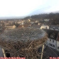 08_45-nest.jpg