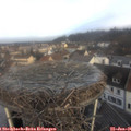 08_50-nest.jpg