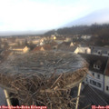 08_55-nest.jpg