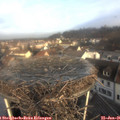 09_00-nest.jpg