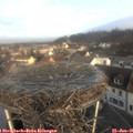 09_05-nest.jpg