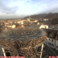 09_10-nest.jpg