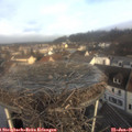 09_15-nest.jpg