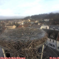 09_20-nest.jpg