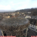 09_25-nest.jpg