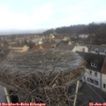 09_30-nest.jpg
