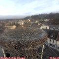 09_35-nest.jpg
