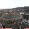 09_40-nest.jpg