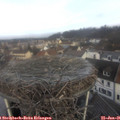 09_45-nest.jpg
