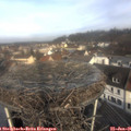 09_50-nest.jpg