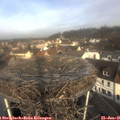 09_55-nest.jpg