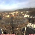 10_00-nest.jpg