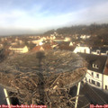 10_10-nest.jpg