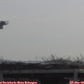 10_15-mast.jpg