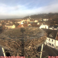 10_15-nest.jpg