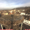 10_20-nest.jpg