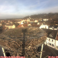 10_25-nest.jpg