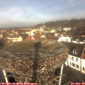 10_30-nest.jpg