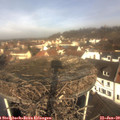 10_40-nest.jpg
