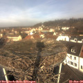 10_45-nest.jpg