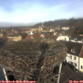 11_00-nest.jpg