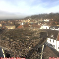 12_00-nest.jpg