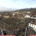 12_05-nest.jpg