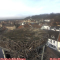12_10-nest.jpg