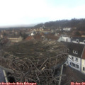 12_15-nest.jpg