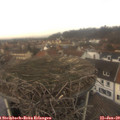 12_20-nest.jpg