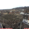 12_25-nest.jpg