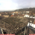 12_30-nest.jpg