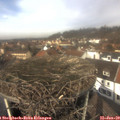 12_35-nest.jpg
