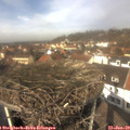 12_40-nest.jpg