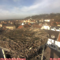 12_45-nest.jpg