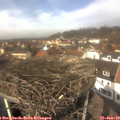 12_50-nest.jpg