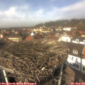 12_55-nest.jpg