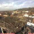 13_05-nest.jpg