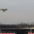 13_10-mast.jpg